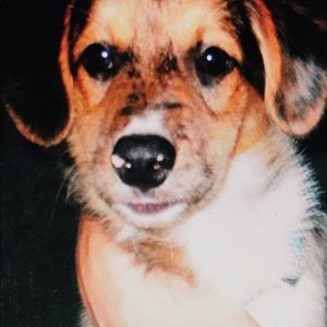 Meet your Posher, Kate